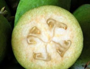 Feijoa is a little green vitamin bomb. What is feijoa called?