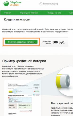 How to find out your credit history in Sberbank online
