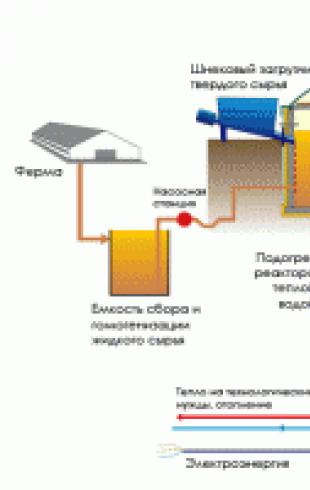 Do-it-yourself biogas at home Home biogas installation