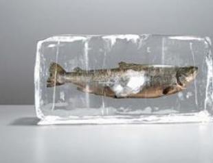 К чему снится замороженная рыба: толкование значения сна по различным сонникам для мужчин и женщин
