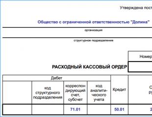 Expenditure cash order (RKO)