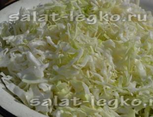 Cabbage and carrot salad: recipes